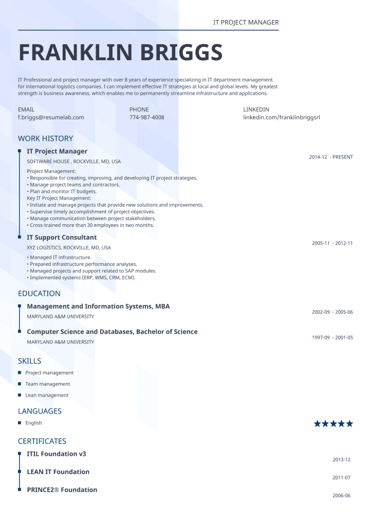 Resume Example 8