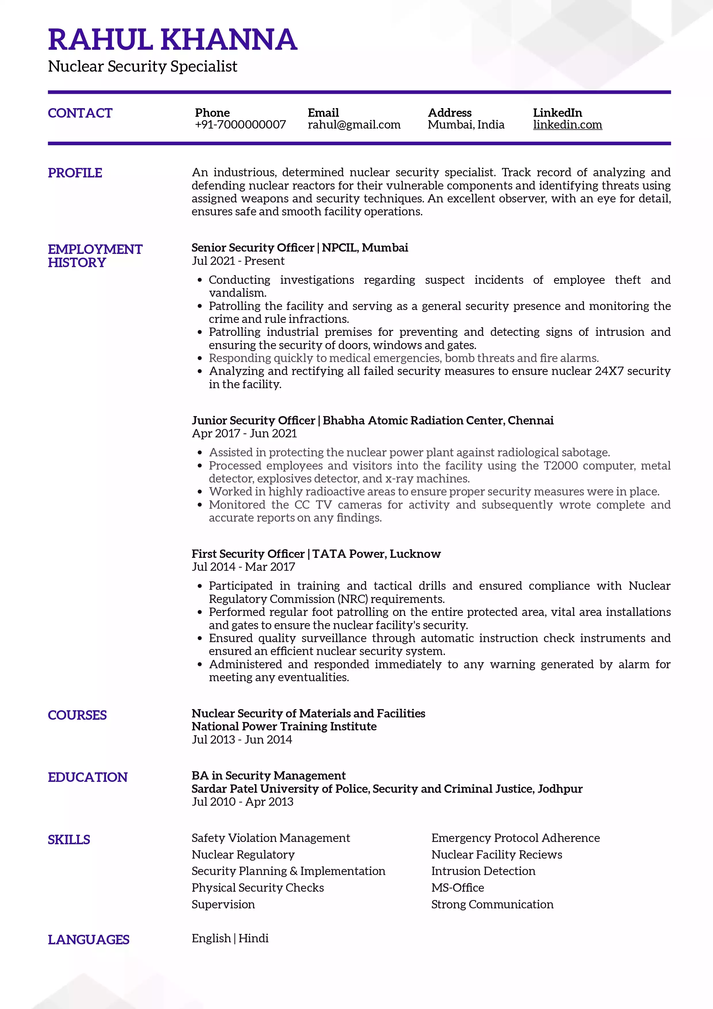 Resume Example 12
